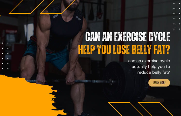 Can You Lose Belly Fat by Exercise Cycles?
