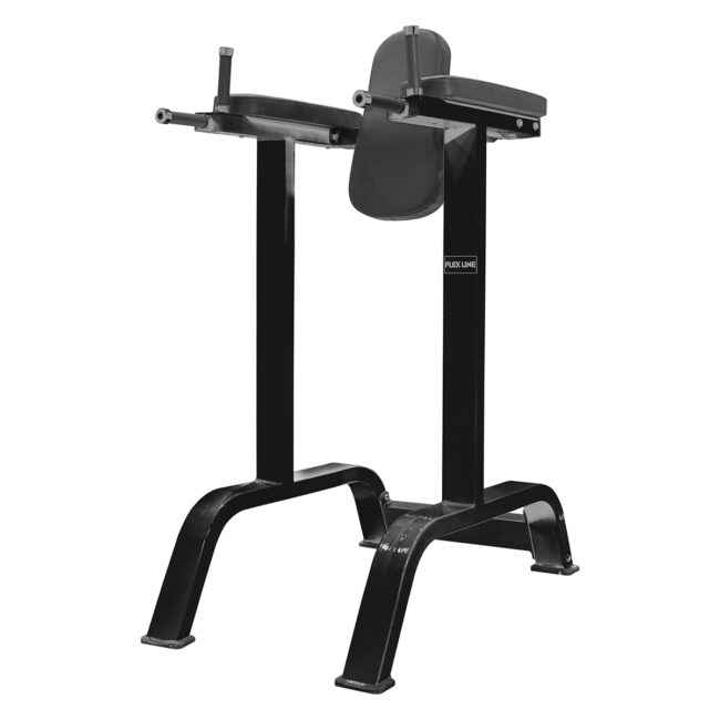 FL6010 Vertical Knee Raise / Dip Stand