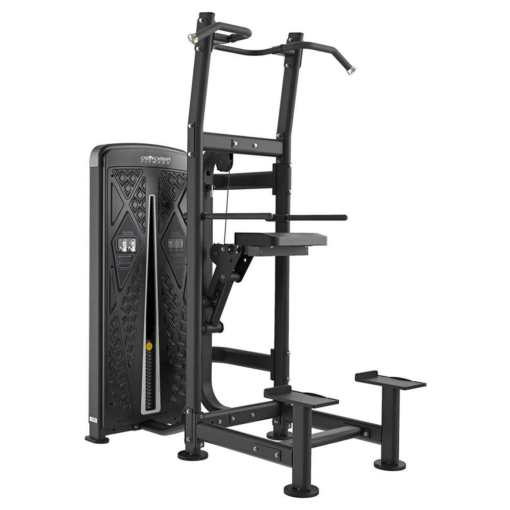 Classic 109 Assisted Chin Dip