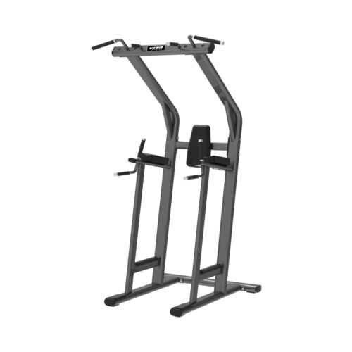 IP1510 Chin Dip / Leg Raise