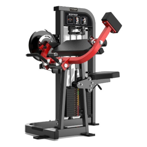 BR26 Tricep / Bicep