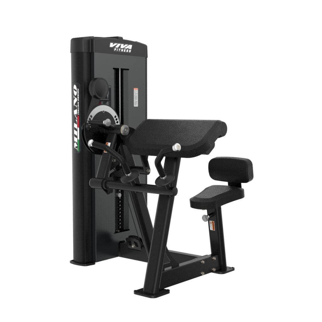 MS 012 Biceps / Triceps