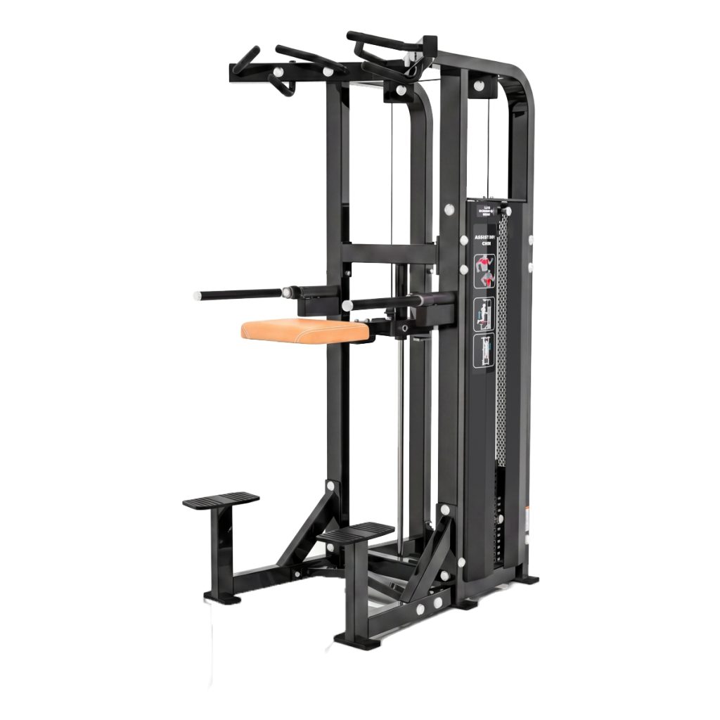 VF 6009 Assisted Dip Chin