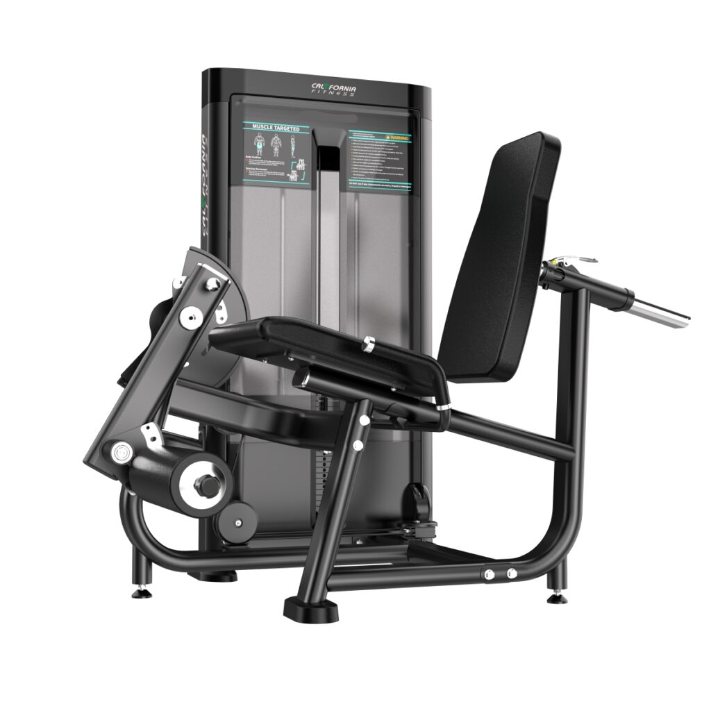 PK 3005 Leg Extension